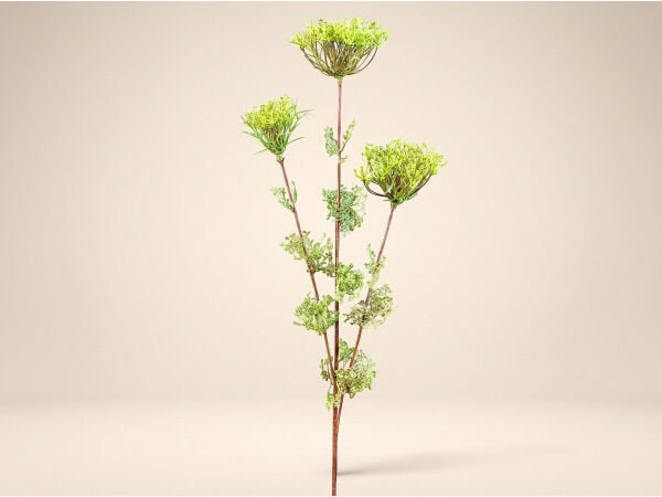 Dekoratif Yapay Çiçek Dalı Yeşil Kır Çiçeği – Uzun Vazo Çiçeği (70 cm) - SH224820-G