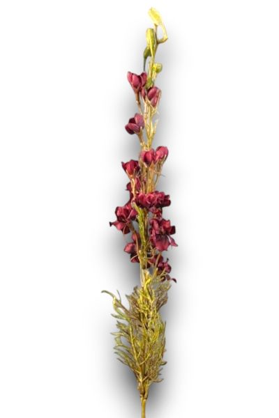 Yapay Çiçek Delfinyum Hezaren 72cm Bordo