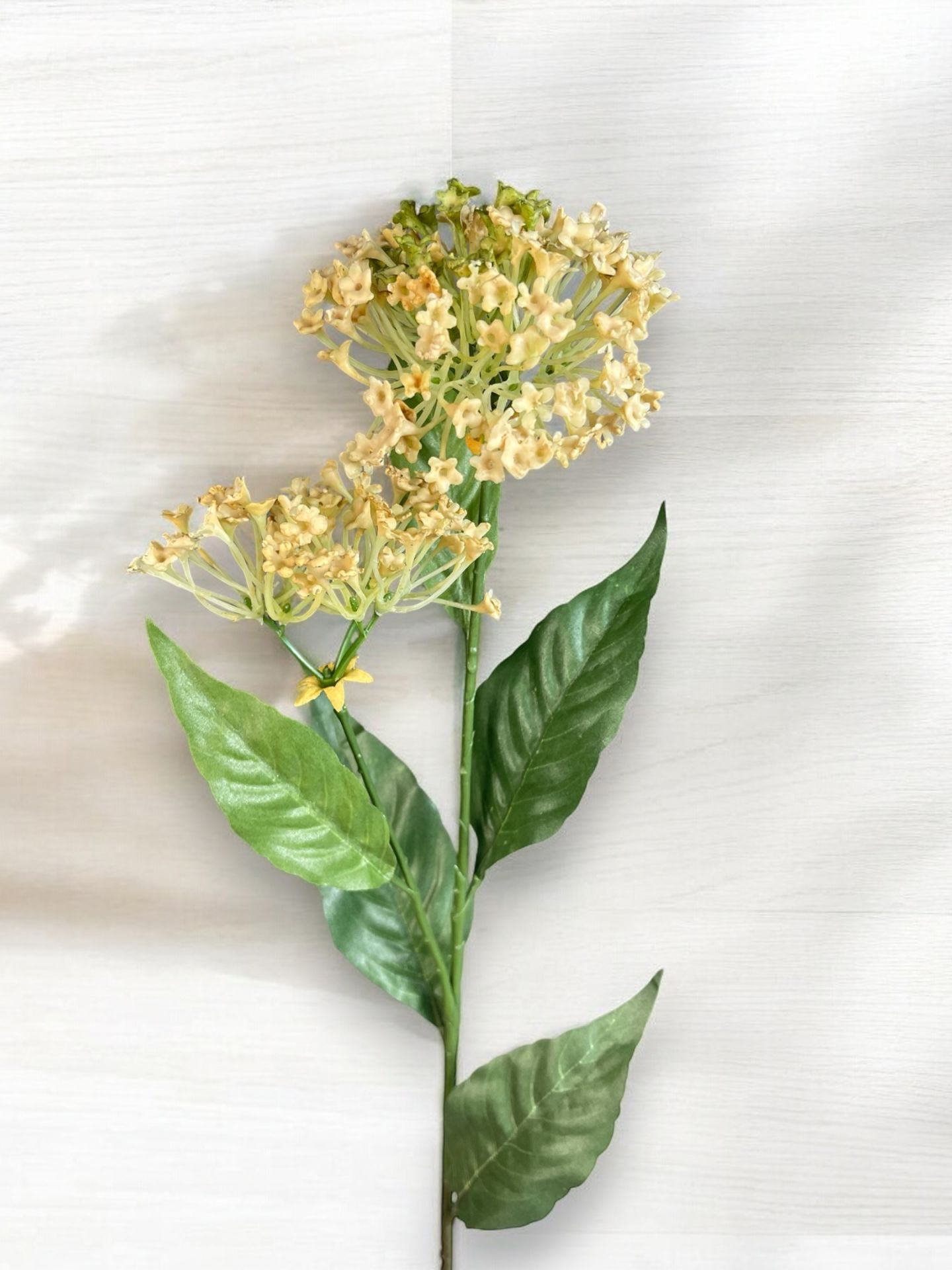 Yapay Çiçek Asclepias İpek Otu 62cm Krem