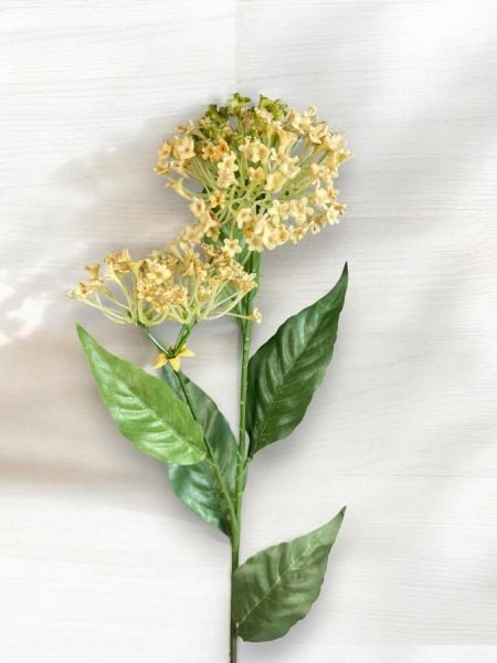 Yapay Çiçek Asclepias İpek Otu 62cm Krem