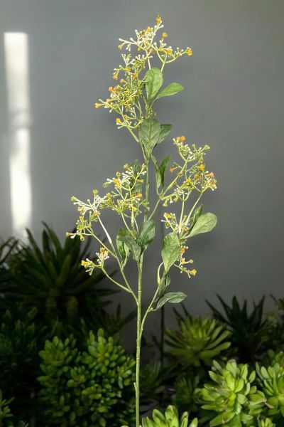 Yapay Çiçek Patrinia 80cm Krem