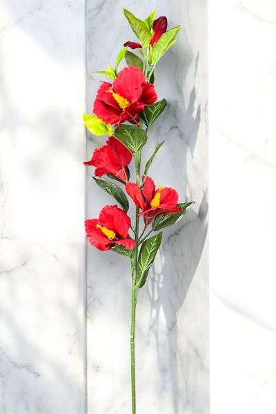 Lisyantus Çiçeği Lisianthus Kırmızı