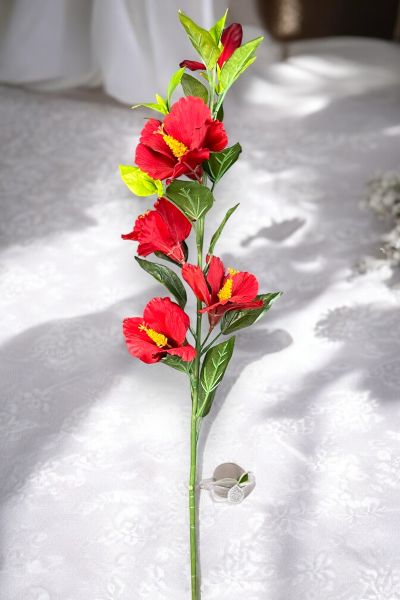 Lisyantus Çiçeği Lisianthus Kırmızı