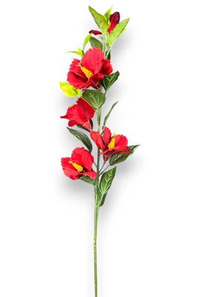 Lisyantus Çiçeği Lisianthus Kırmızı