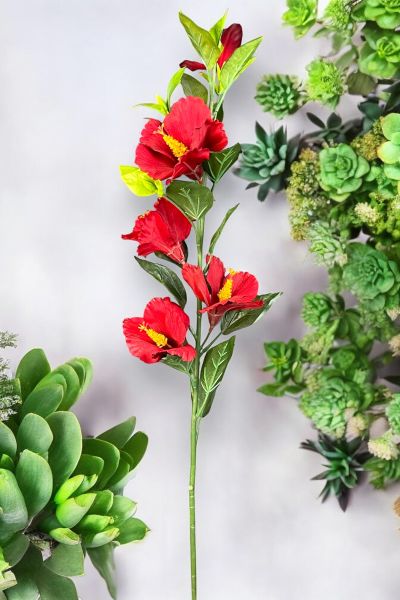 Lisyantus Çiçeği Lisianthus Kırmızı