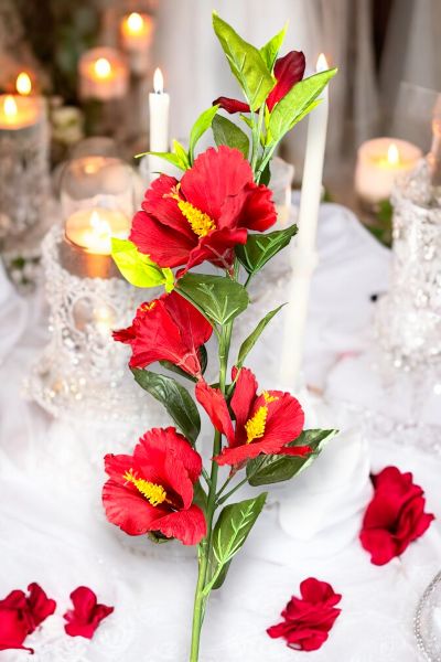 Lisyantus Çiçeği Lisianthus Kırmızı