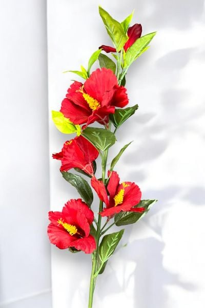 Lisyantus Çiçeği Lisianthus Kırmızı