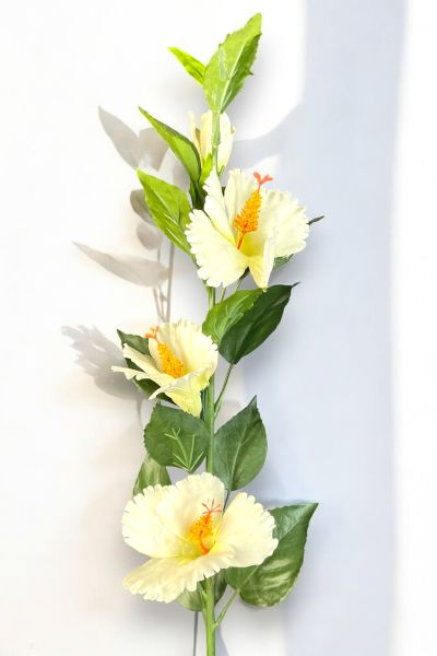 Lisyantus Çiçeği Lisianthus Beyaz