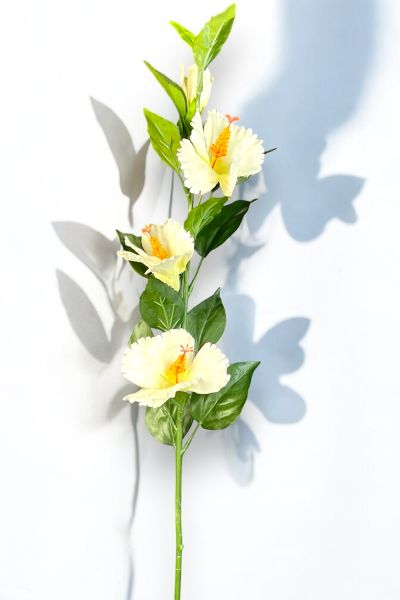 Lisyantus Çiçeği Lisianthus Beyaz