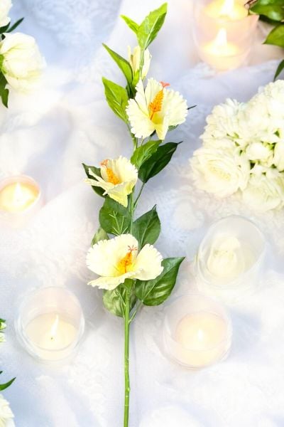 Lisyantus Çiçeği Lisianthus Beyaz