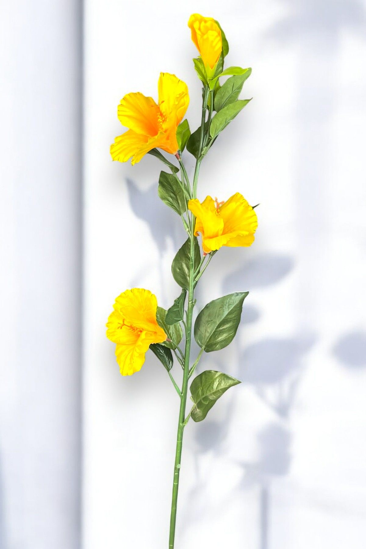 Lisyantus Çiçeği Lisianthus Sarı