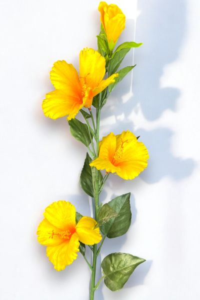 Lisyantus Çiçeği Lisianthus Sarı