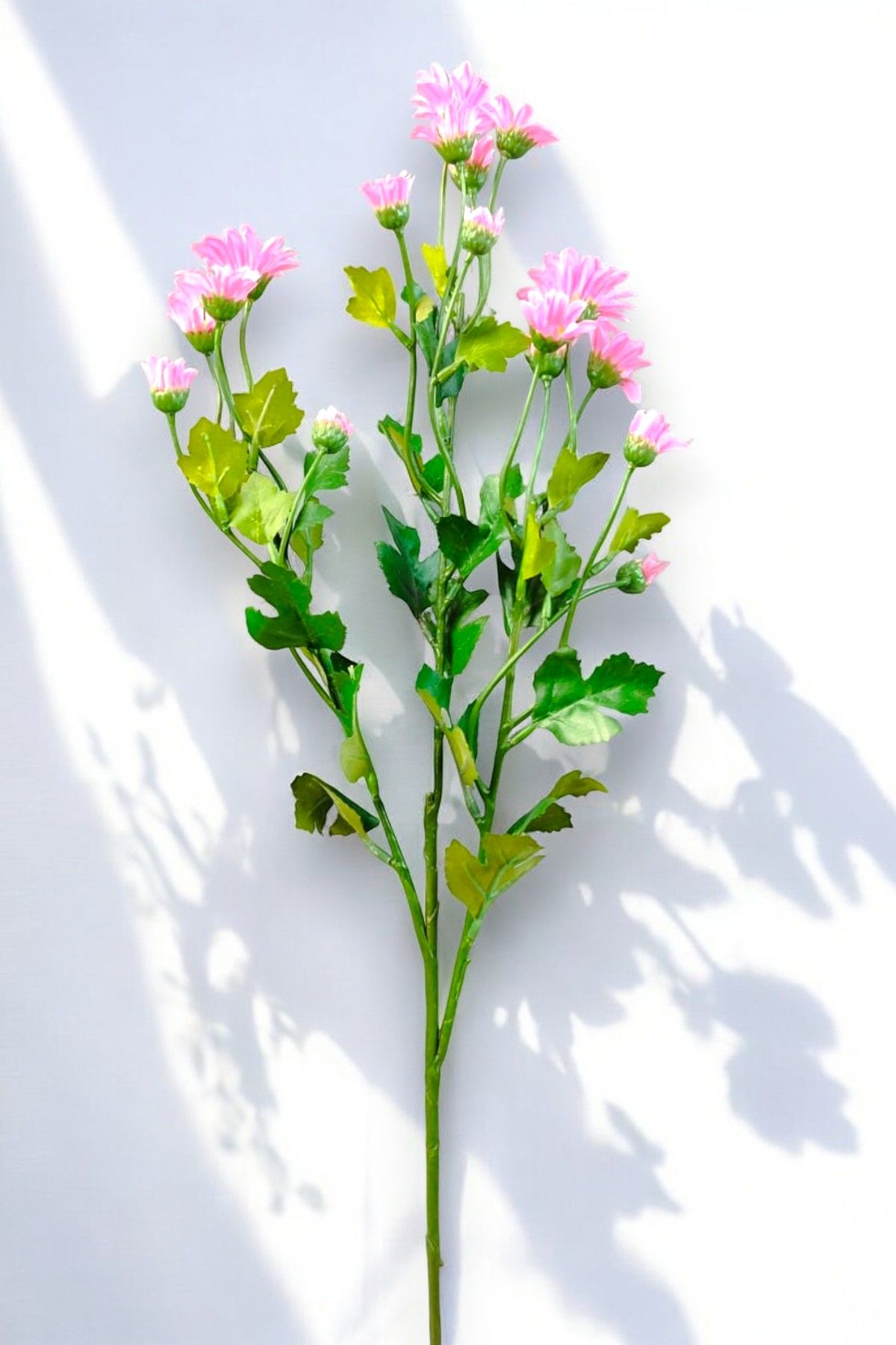 Papatya Pembe 57cm