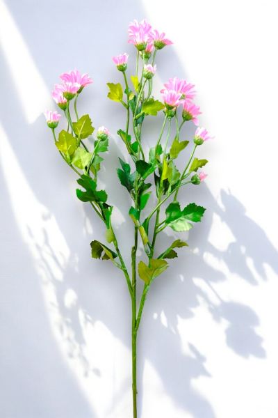 Papatya Pembe 57cm