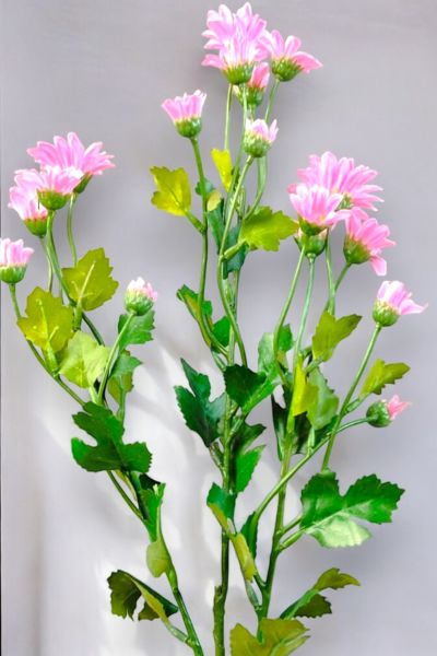 Papatya Pembe 57cm
