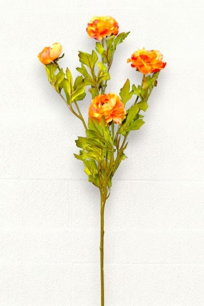 Şakayık Ranunculus Turuncu