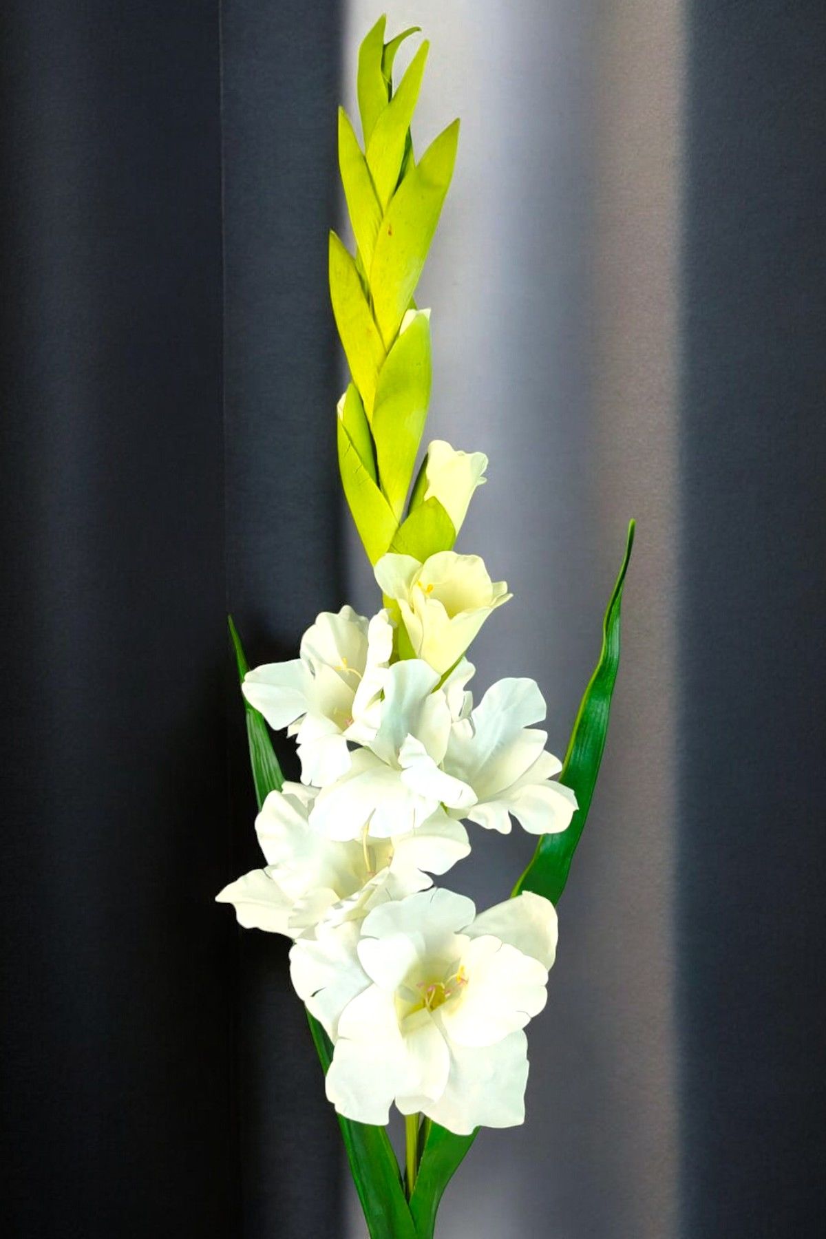 Glayör Gladiola Beyaz 100cm