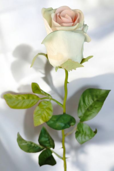 Yapay Çiçek Gül Krem 70cm