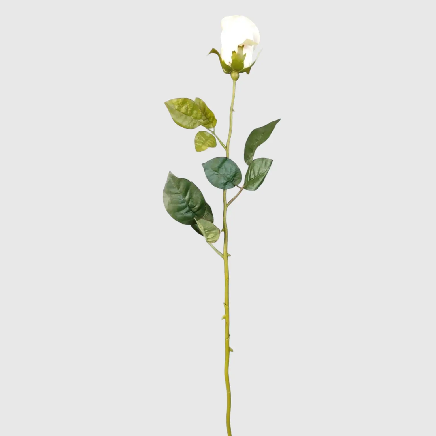Krem Tomurcuklu Yapay Gül Dalı 70 cm