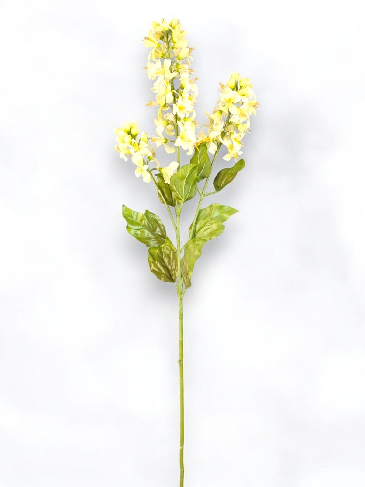 Sümbül Krem 100cm