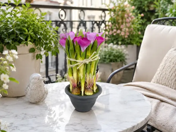 Saksılı Fuşya Yapay Crocus 30 cm