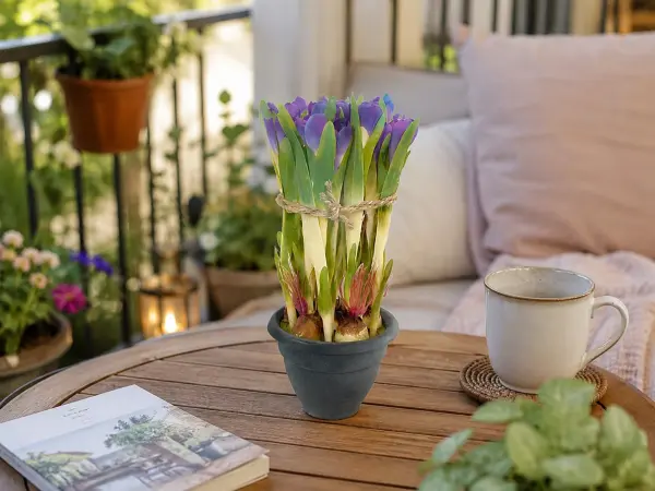 Mor Saksılı Yapay Crocus 30 cm