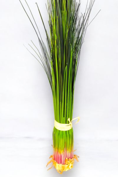 Onion Grass Yapay Bitki 78cm
