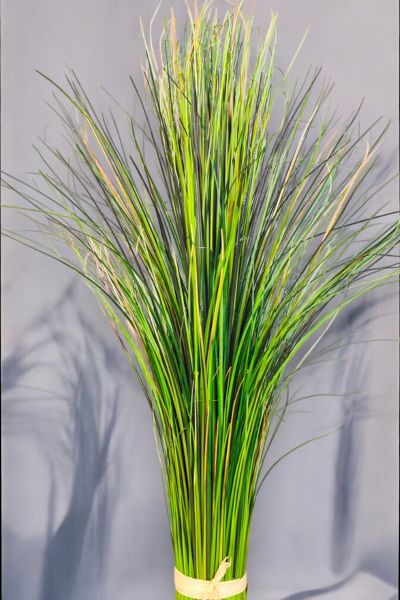 Onion Grass Yapay Bitki 91cm