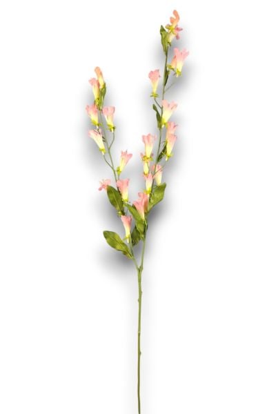Kardinal Çiçeği Lobelia Pembe 120cm