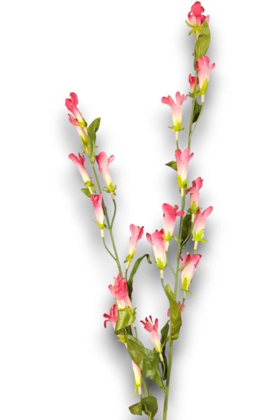 Kardinal Çiçeği Lobelia Koyu Pembe 120cm
