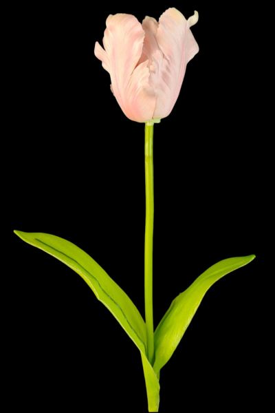 Islak Dokulu Pembe Yapay Lale Dalı 65 cm