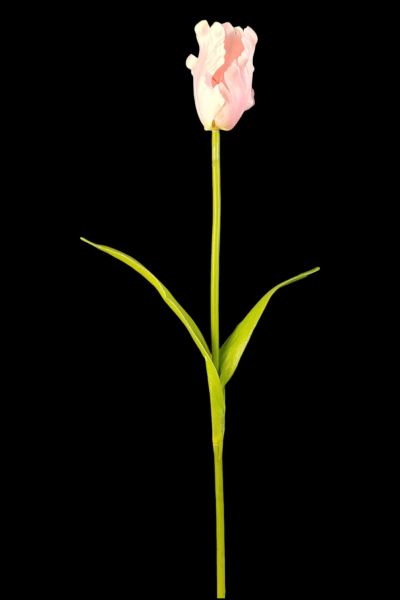 Islak Dokulu Pembe Yapay Lale Dalı 65 cm