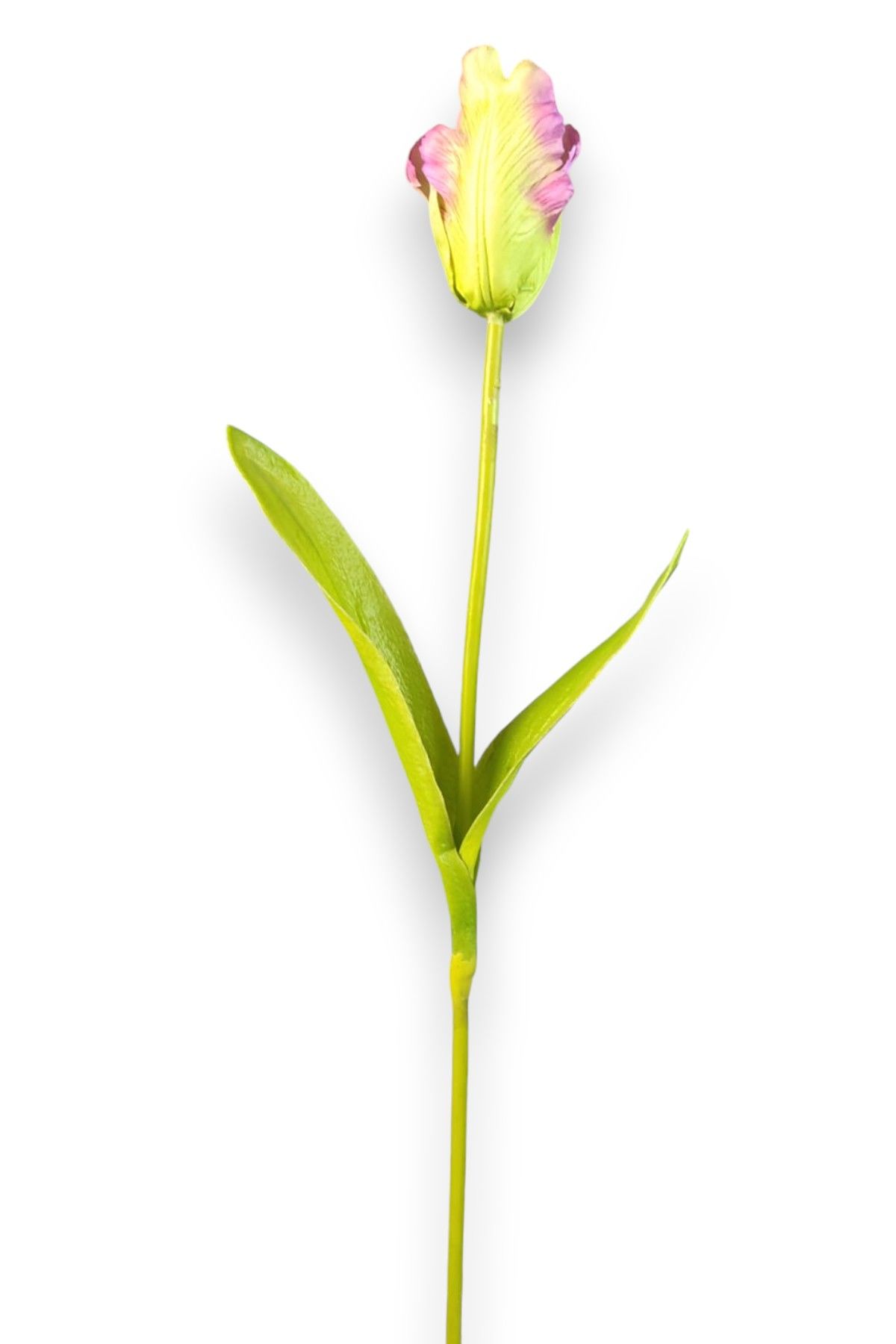 Lale Mor & Yeşil 65cm