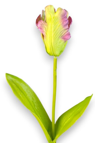 Lale Mor & Yeşil 65cm