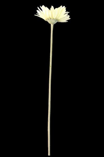 Yapay Çiçek Papatya Gerbera Beyaz 55cm