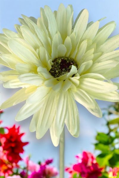 Yapay Çiçek Papatya Gerbera Beyaz 55cm