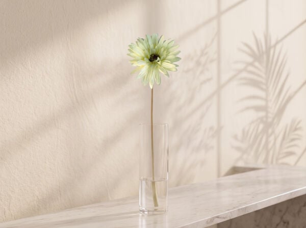 Krem Yapay Papatya Gerbera Dalı 55 cm