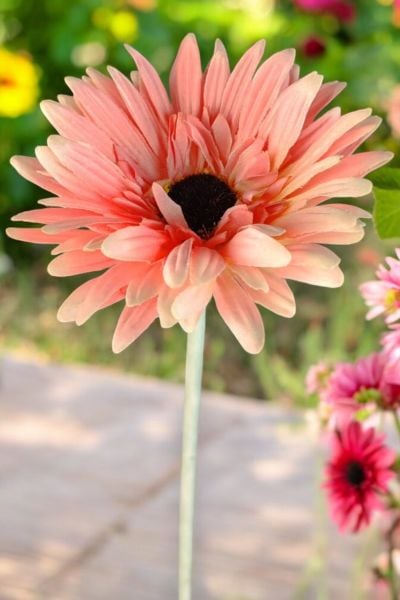 Yapay Çiçek Papatya Gerbera Pembe 55cm
