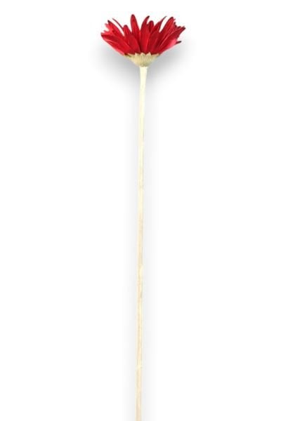 Yapay Çiçek Papatya Gerbera Bordo 55cm