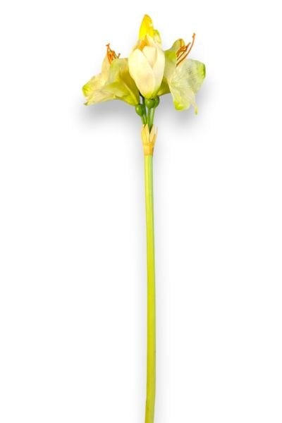 Yapay Çiçek Amarilis Zambak Krem 90cm