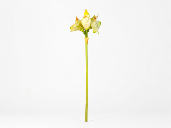 Krem Yapay Amarilis Dalı 90 cm