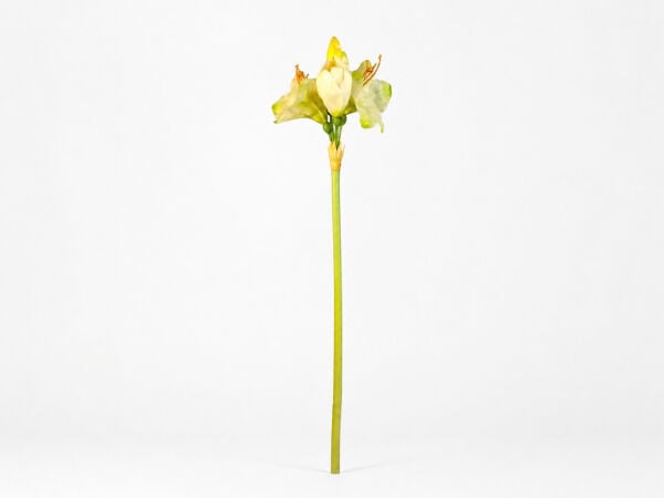 Yapay Amarilis 90 cm Krem