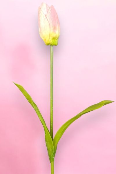 Yapay Çiçek Lale 65cm Pembe