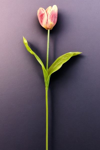 Yapay Çiçek Lale 65cm Koyu Pembe