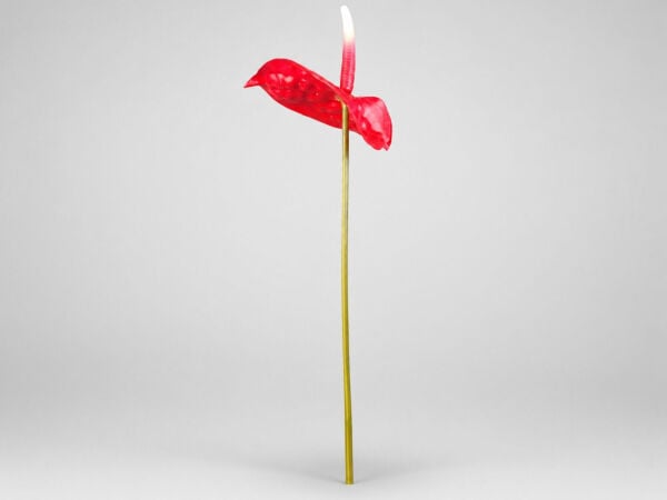 Kırmızı Yapay Antoryum Dalı 65 cm