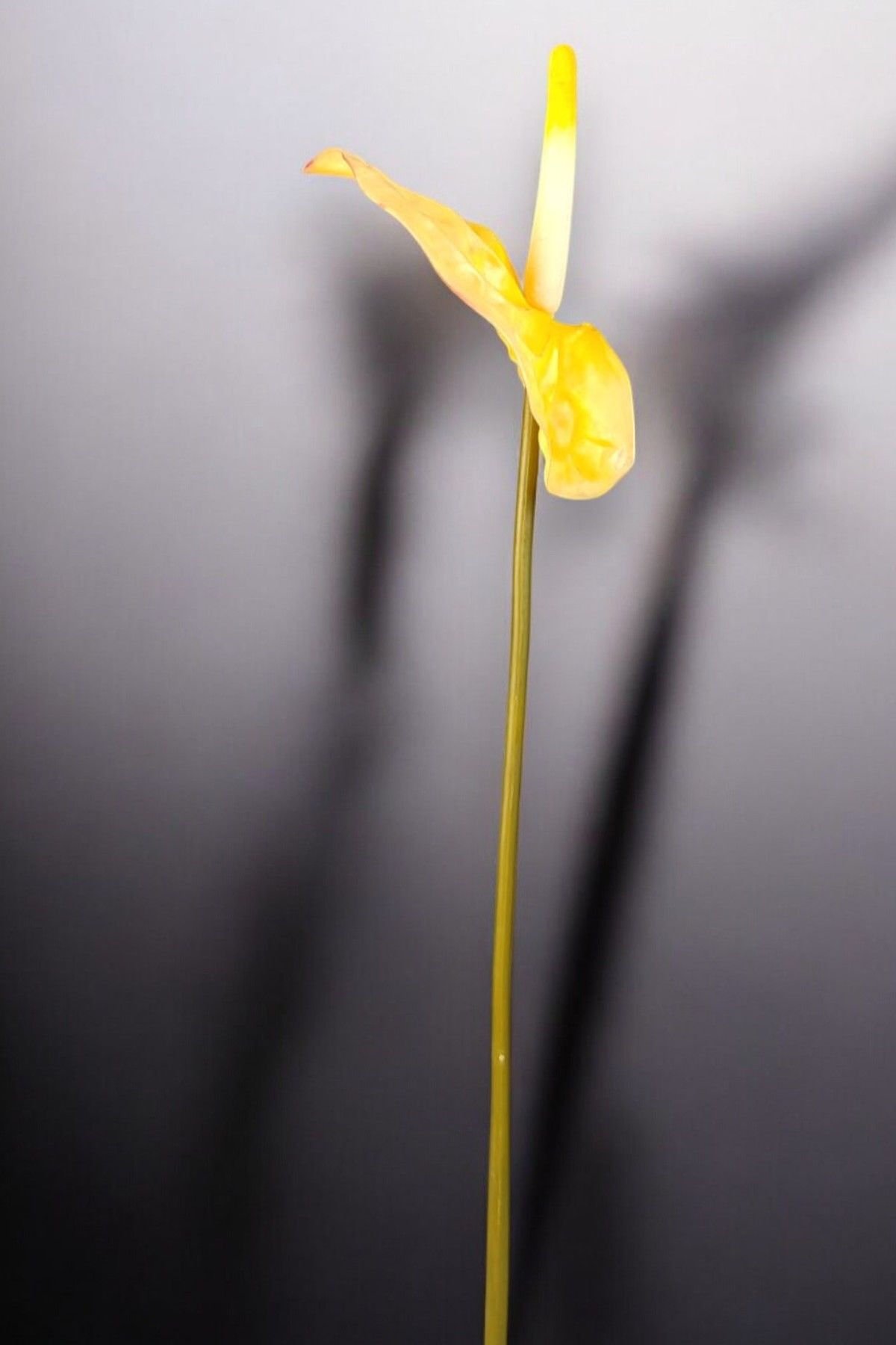 Yapay Çiçek Antoryum Sarı 65cm