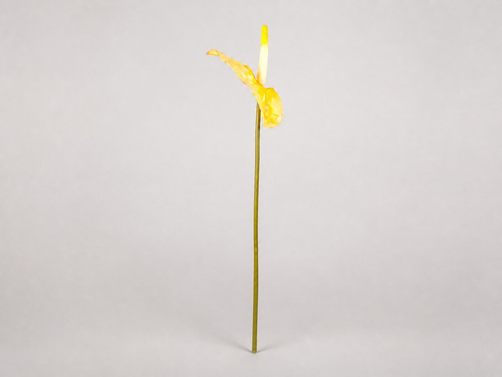Yapay Antoryum 65 cm Sarı