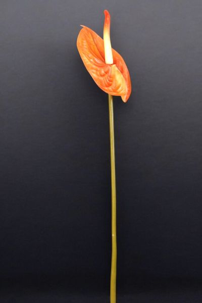 Yapay Çiçek Antoryum Turuncu 65cm