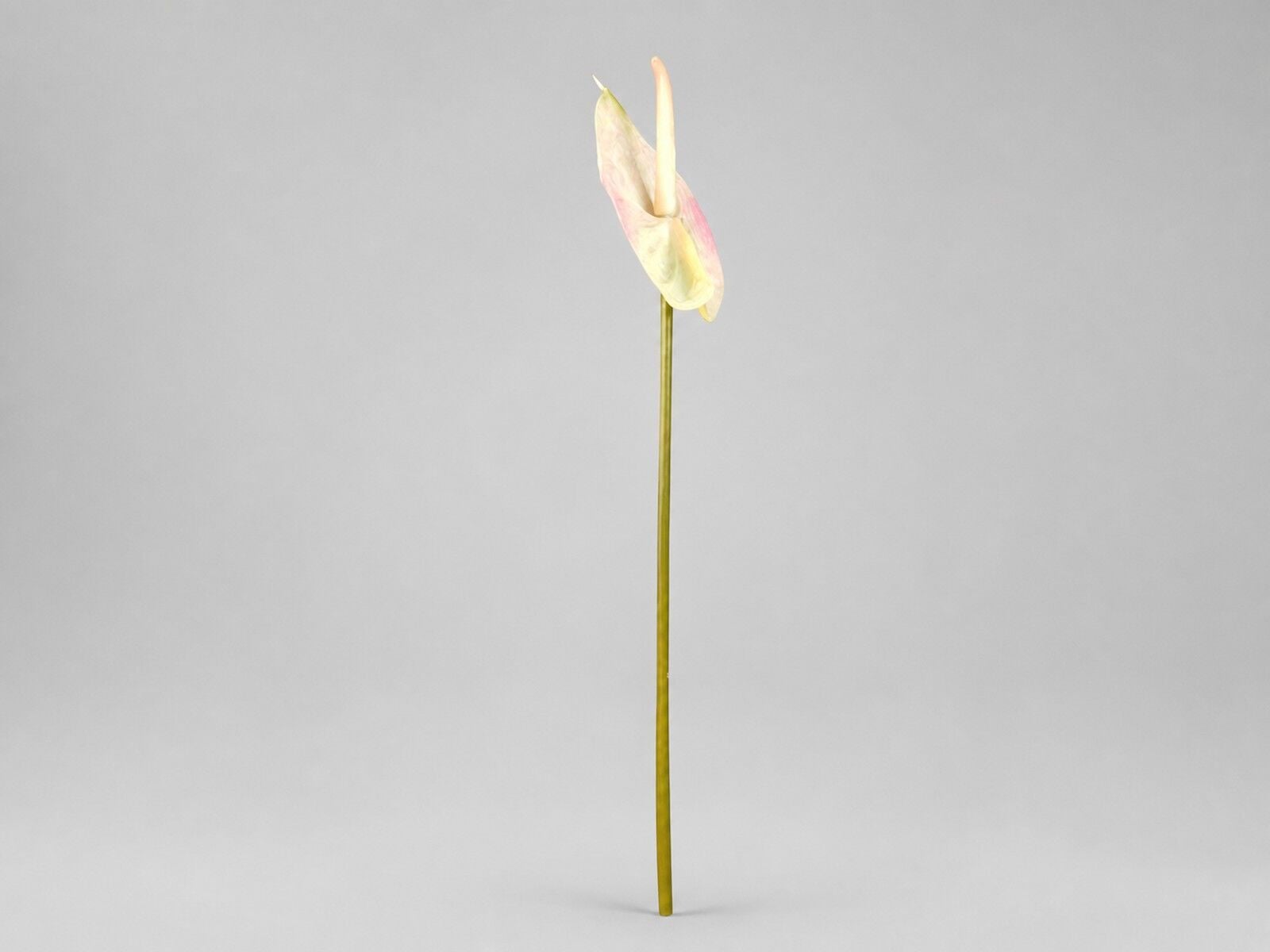 Pudra Pembe Yapay Antoryum Dalı 65 cm