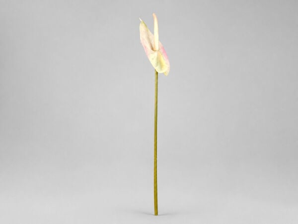 Yapay Antoryum 65 cm Pudra Pembe